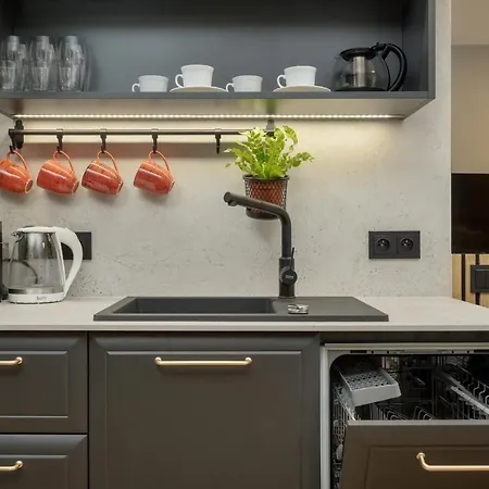 Lejlighed Black And Beige With Balcony And Parking In By Renters