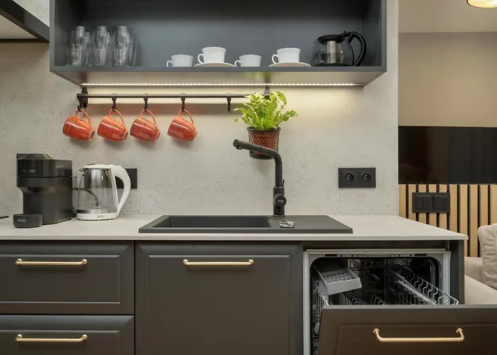 아파트 Black And Beige With Balcony And Parking In By Renters