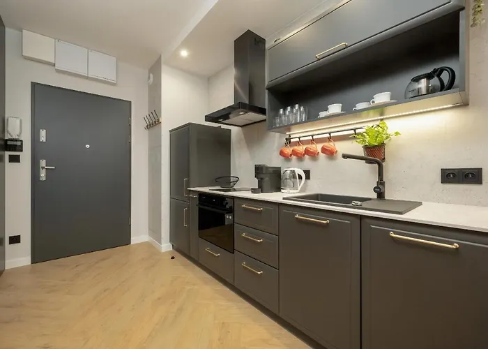 아파트 Black And Beige With Balcony And Parking In By Renters 브로츠와프